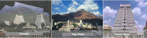 Tiruvannamalai, Tiruvannamalai City, Tiruvannamalai District, Arunachaleswara temple, Sri Ramanasramam